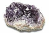 Sparking, Purple, Amethyst Crystal Cluster - Uruguay #249556-1